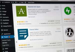 WordPress Business WordPress Business
